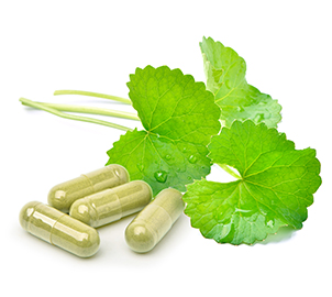 Ejemplo Capsules Ejemplos Capsules